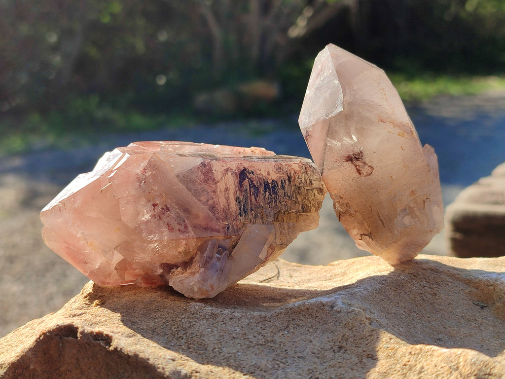 Natural Red Hematoid Quartz Clusters x 12 From Karoi, Zimbabwe - Toprock Gemstones and Minerals 