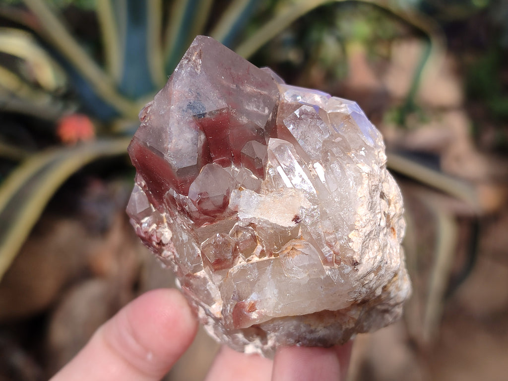 Natural Red Hematoid Quartz Clusters x 12 From Karoi, Zimbabwe - Toprock Gemstones and Minerals 