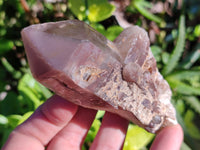 Natural Red Hematoid Quartz Clusters x 12 From Karoi, Zimbabwe