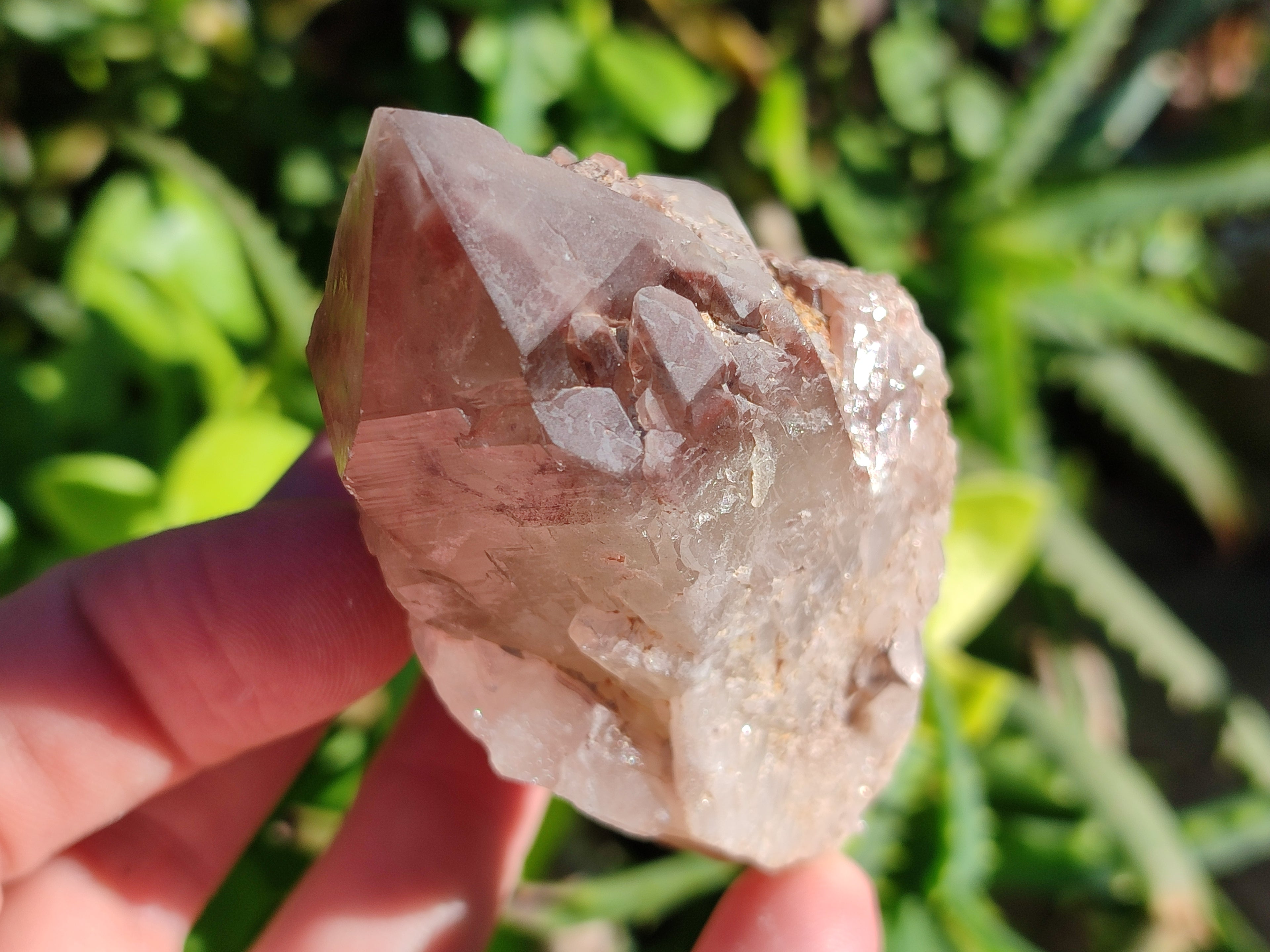 Natural Red Hematoid Quartz Clusters x 12 From Karoi, Zimbabwe - Toprock Gemstones and Minerals 