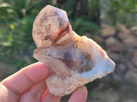 Natural Red Hematoid Quartz Clusters x 12 From Karoi, Zimbabwe