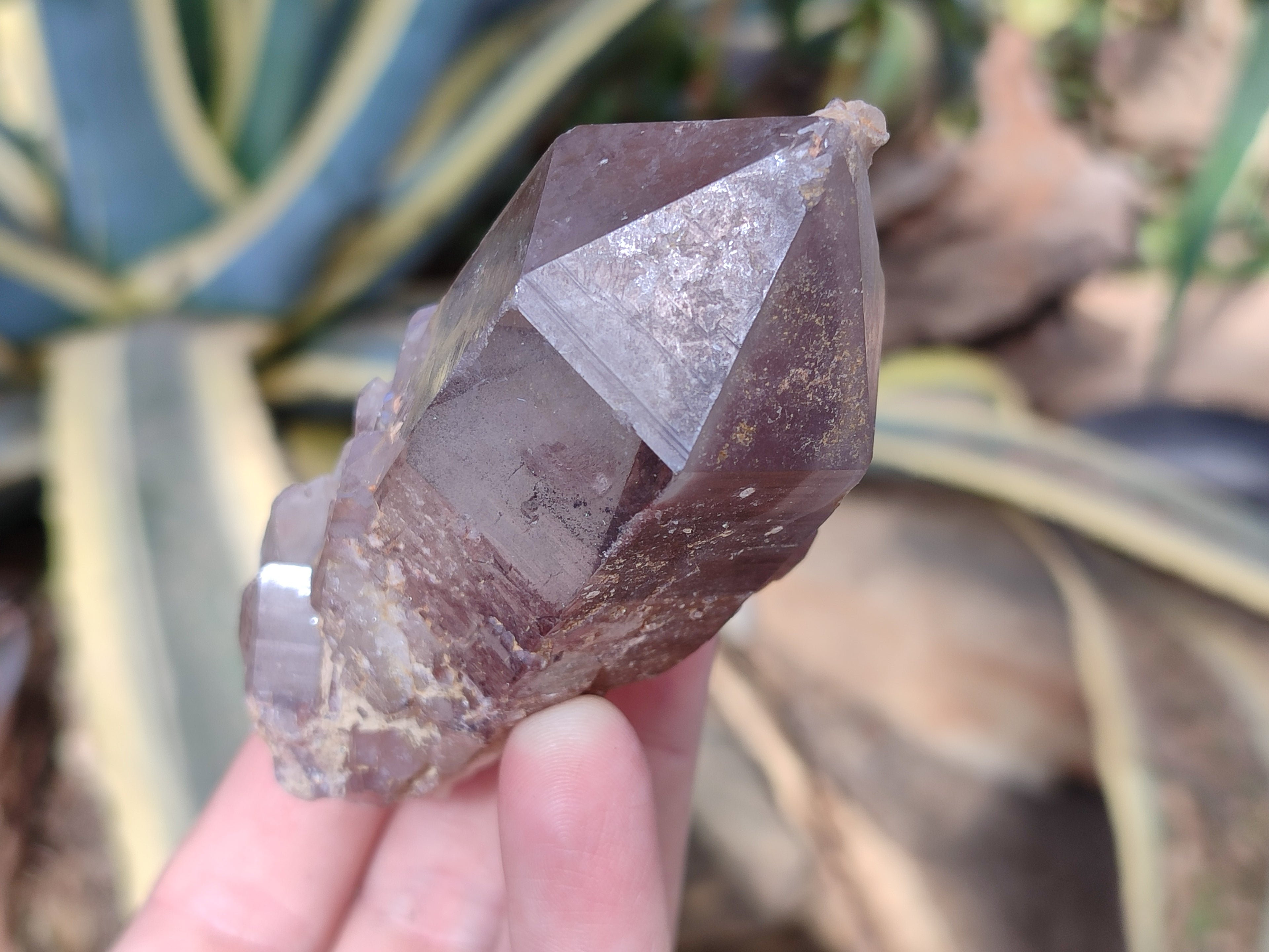 Natural Red Hematoid Quartz Clusters x 12 From Karoi, Zimbabwe - Toprock Gemstones and Minerals 