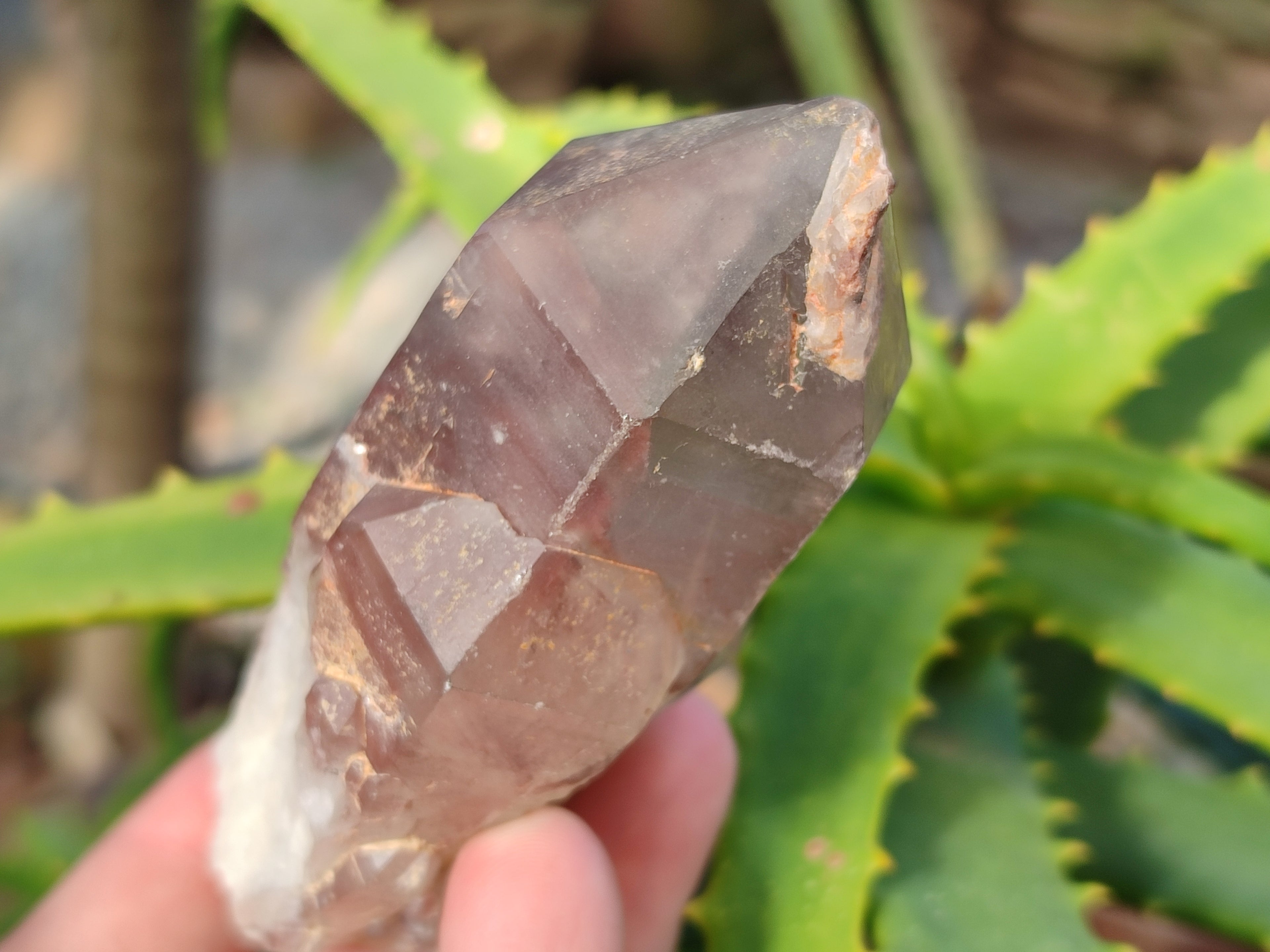 Natural Red Hematoid Quartz Clusters x 12 From Karoi, Zimbabwe - Toprock Gemstones and Minerals 