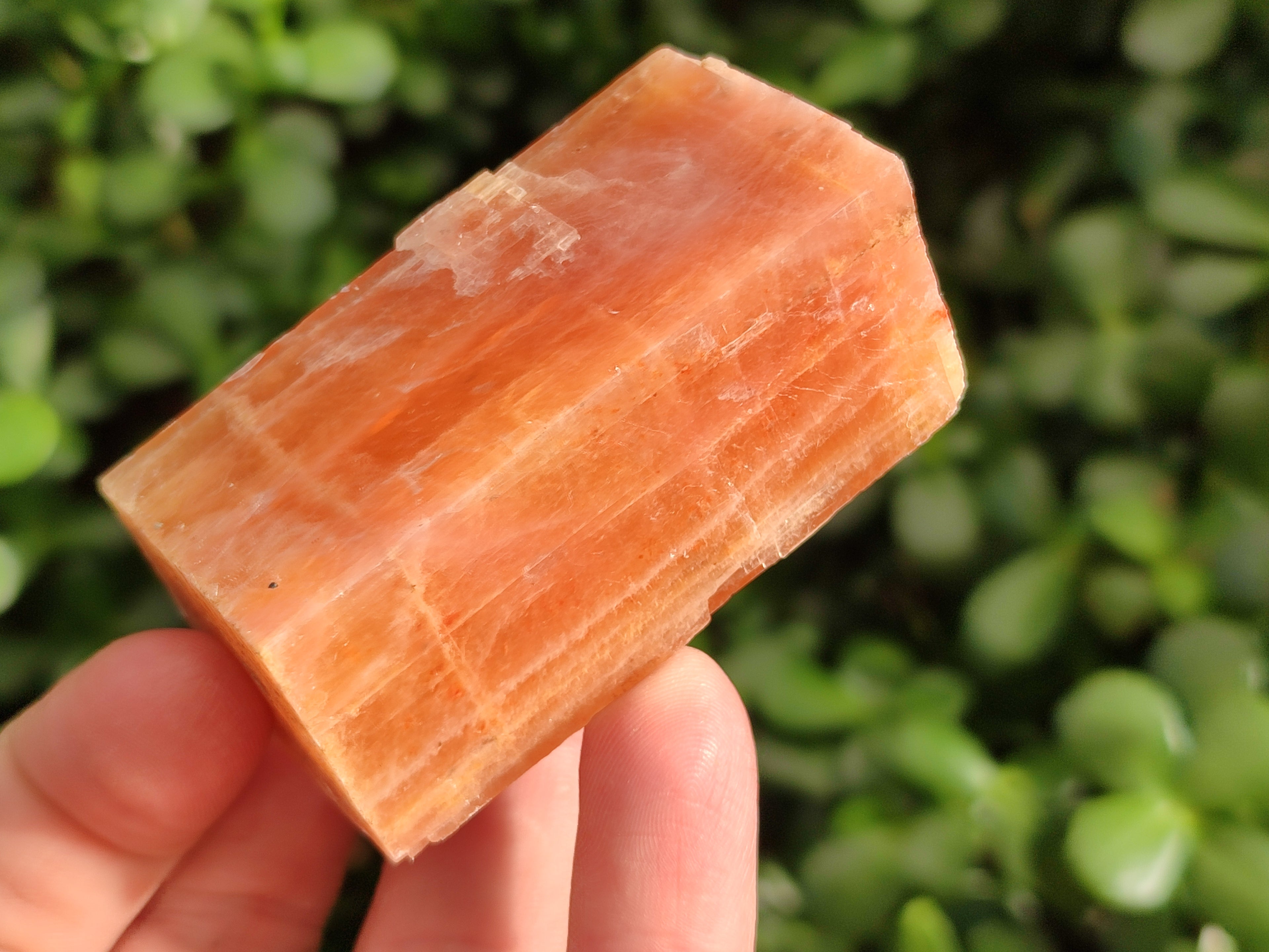 Natural Rhombohedral Sunset Orange Calcite Specimens x 24 From Spitzkop, Namibia - Toprock Gemstones and Minerals 