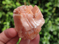 Natural Rhombohedral Sunset Orange Calcite Specimens x 24 From Spitzkop, Namibia - Toprock Gemstones and Minerals 