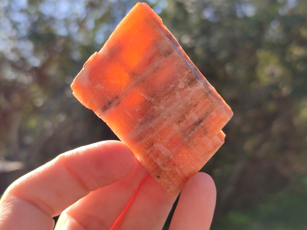 Natural Rhombohedral Sunset Orange Calcite Specimens x 24 From Spitzkop, Namibia - Toprock Gemstones and Minerals 