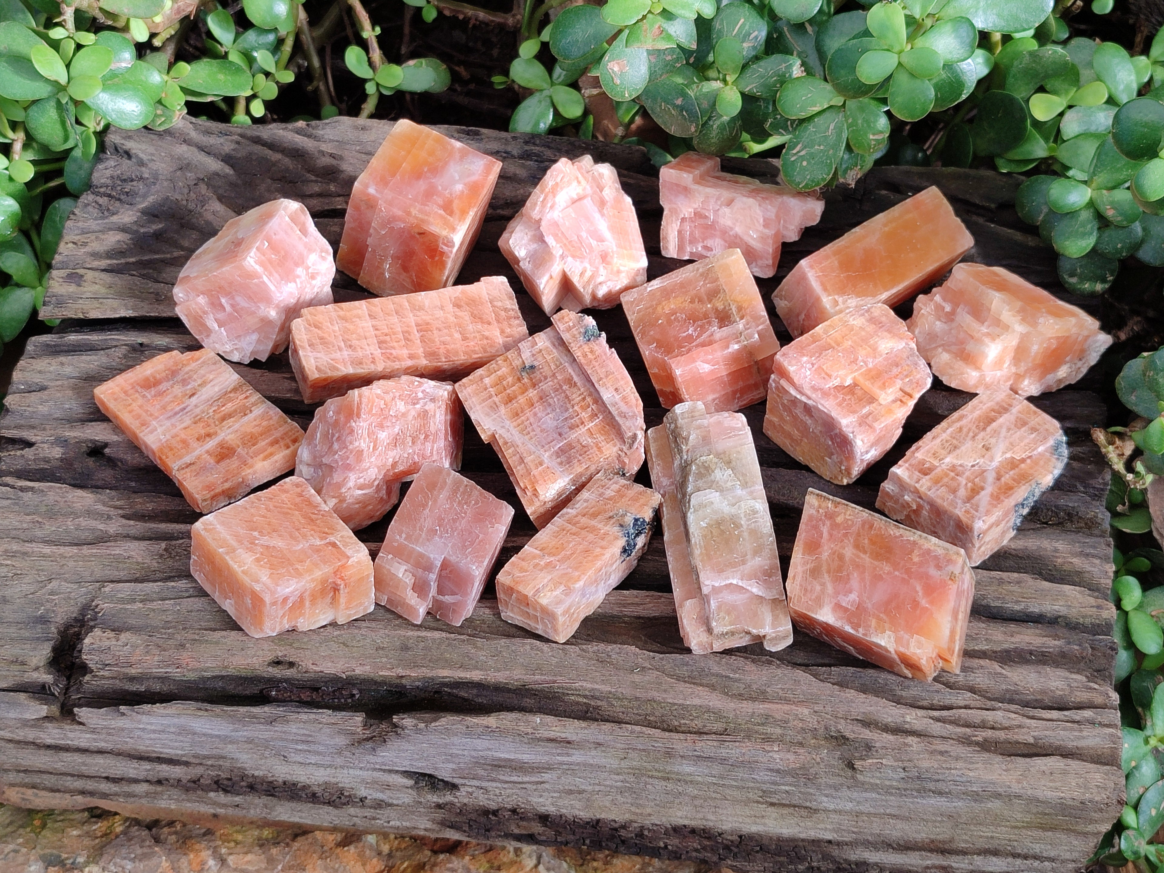 Natural Rhombohedral Sunset Orange Calcite Specimens x 24 From Spitzkop, Namibia - Toprock Gemstones and Minerals 