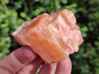 Natural Rhombohedral Sunset Orange Calcite Specimens x 24 From Spitzkop, Namibia - Toprock Gemstones and Minerals 