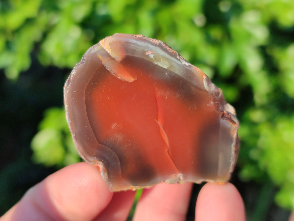 Polished On One Side Red Sashe River Agate Nodules x 20 From Zimbabwe - Toprock Gemstones and Minerals 