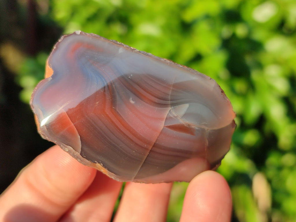 Polished On One Side Red Sashe River Agate Nodules x 20 From Zimbabwe - Toprock Gemstones and Minerals 