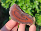 Polished On One Side Red Sashe River Agate Nodules x 20 From Zimbabwe - Toprock Gemstones and Minerals 