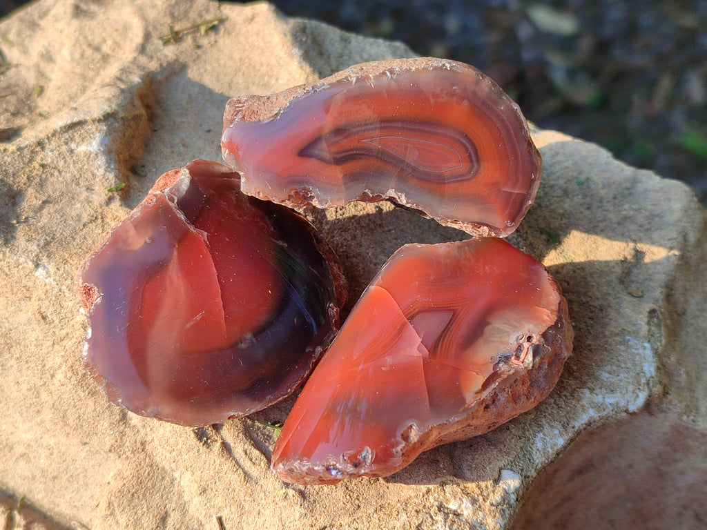 Polished On One Side Red Sashe River Agate Nodules x 20 From Zimbabwe - Toprock Gemstones and Minerals 