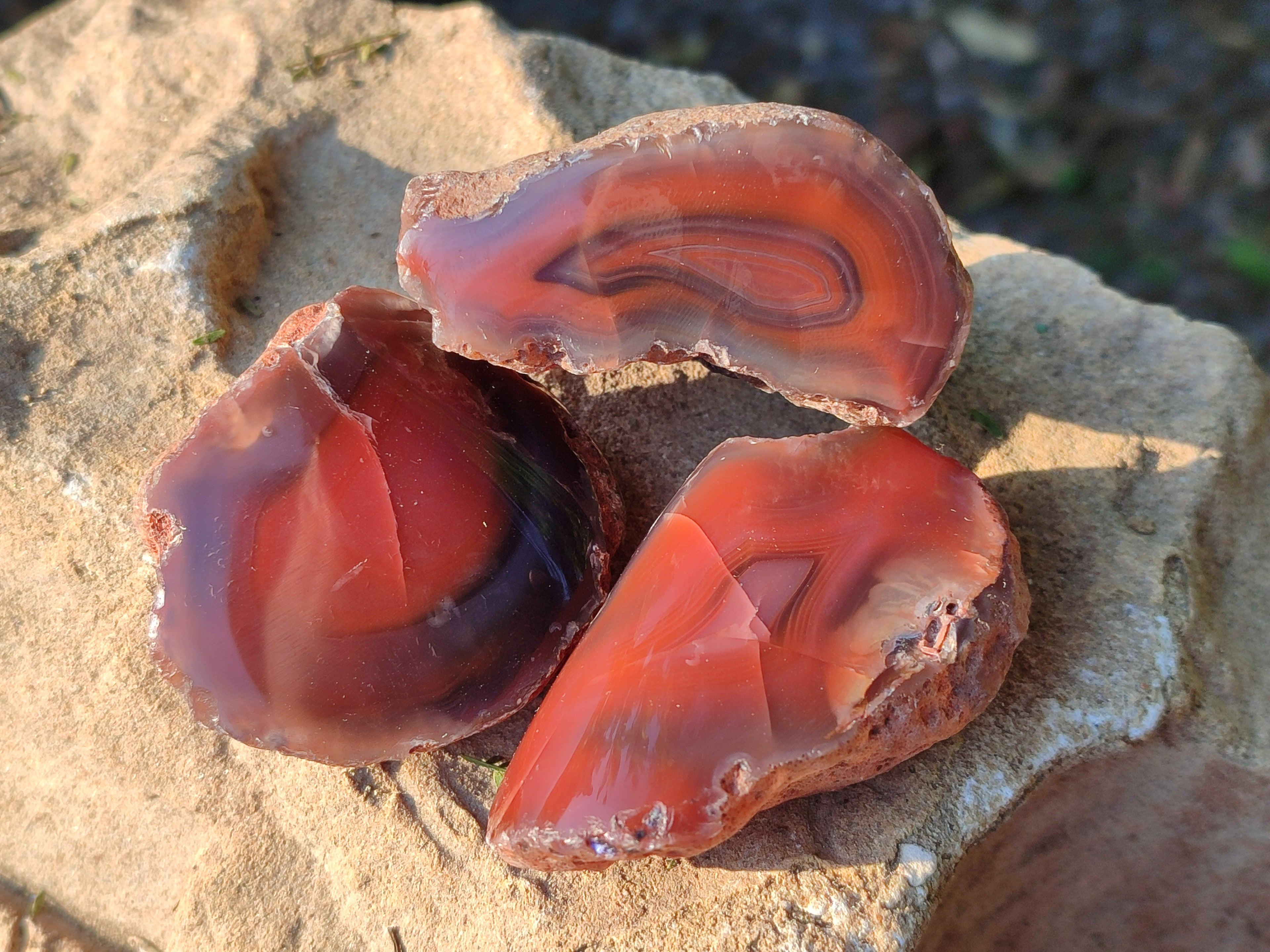 Polished On One Side Red Sashe River Agate Nodules x 20 From Zimbabwe - Toprock Gemstones and Minerals 