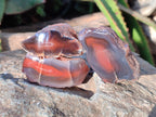 Polished On One Side Red Sashe River Agate Nodules x 20 From Zimbabwe - Toprock Gemstones and Minerals 