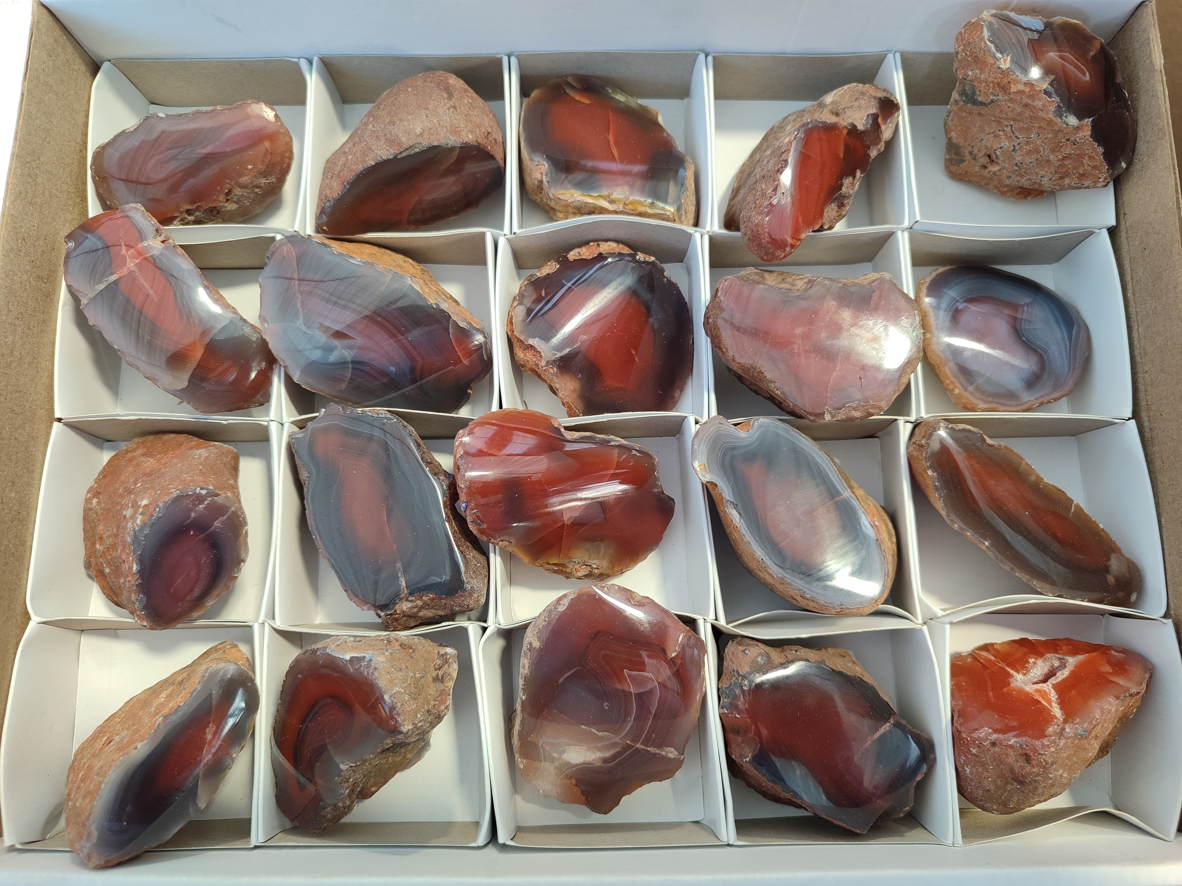 Polished On One Side Red Sashe River Agate Nodules x 20 From Zimbabwe - Toprock Gemstones and Minerals 
