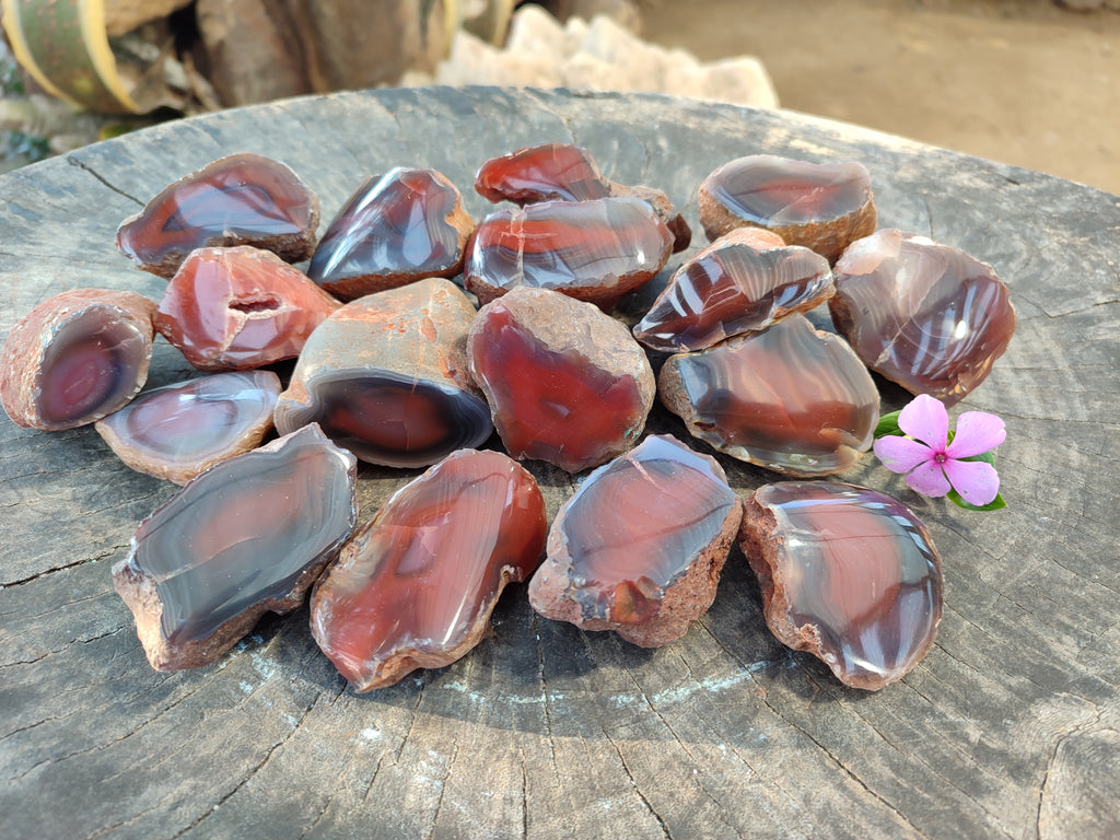 Polished On One Side Red Sashe River Agate Nodules x 20 From Zimbabwe - Toprock Gemstones and Minerals 