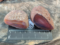 Polished On One Side Red Sashe River Agate Nodules x 20 From Zimbabwe - Toprock Gemstones and Minerals 
