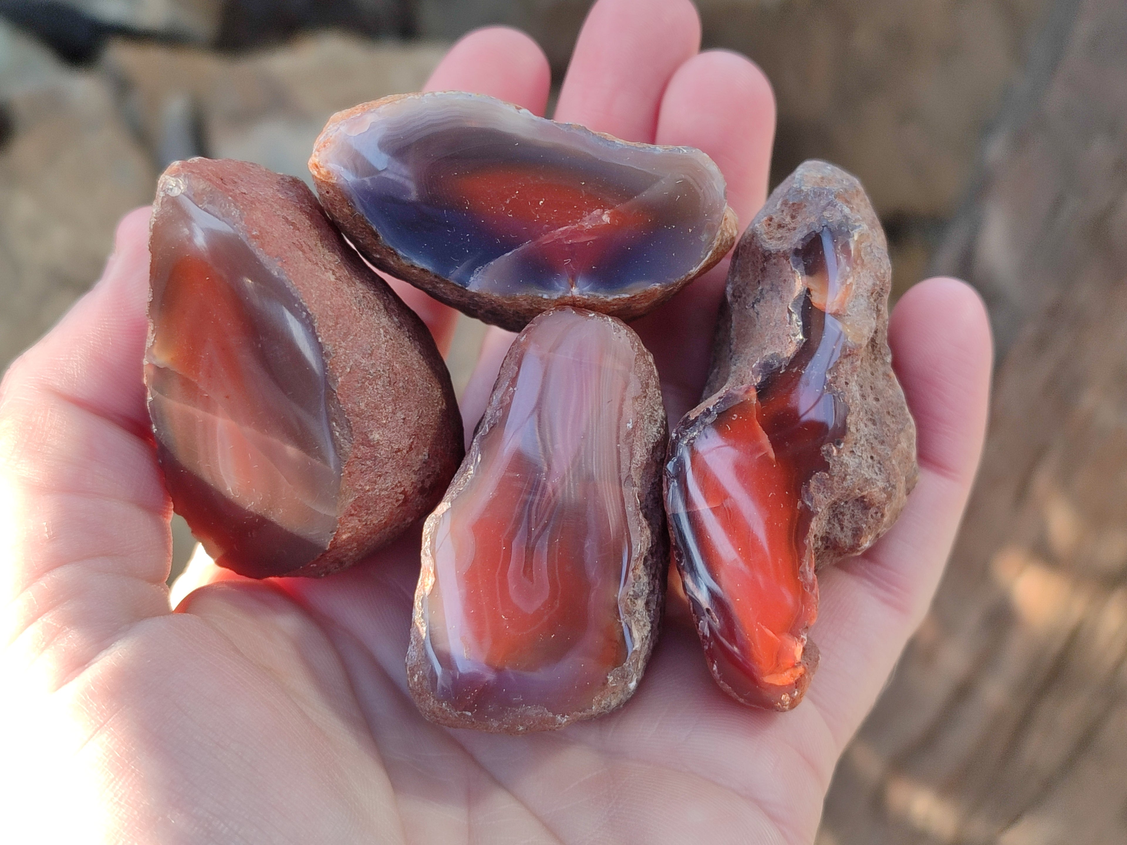 Polished On One Side Red Sashe River Agate Nodules x 20 From Zimbabwe - Toprock Gemstones and Minerals 