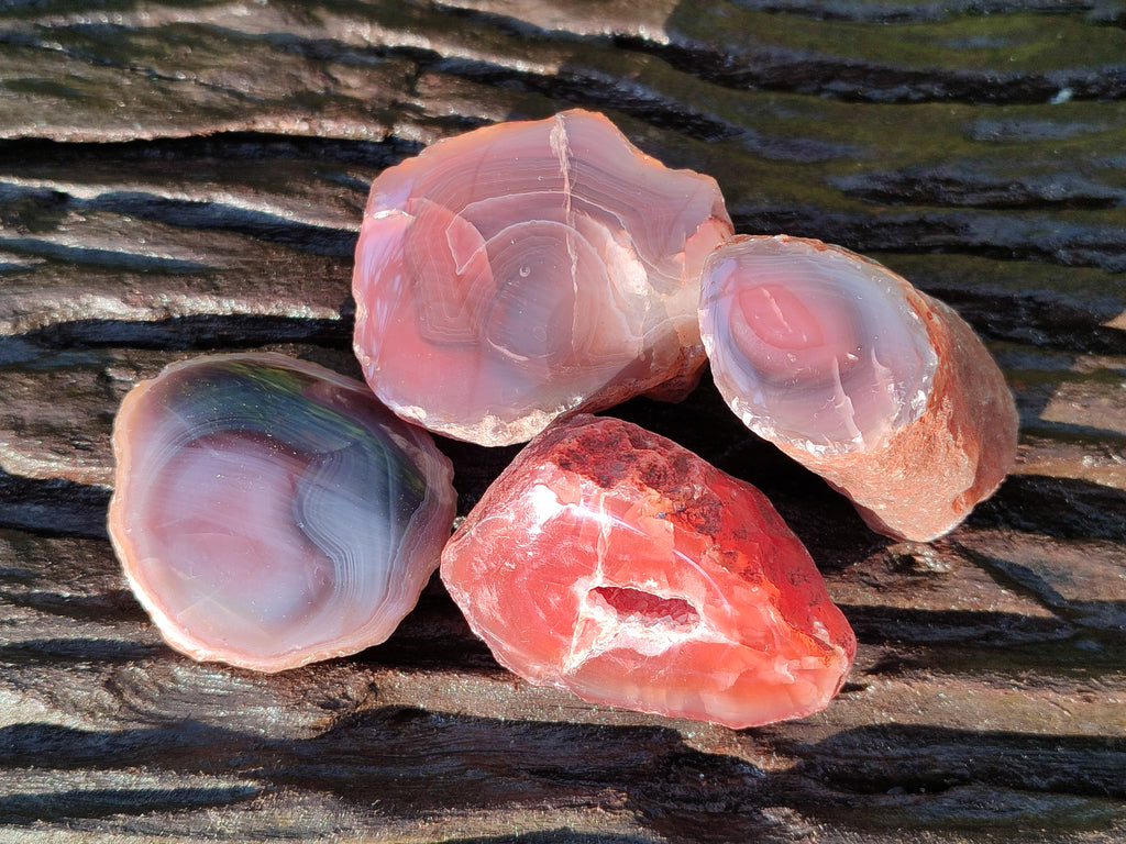 Polished On One Side Red Sashe River Agate Nodules x 20 From Zimbabwe - Toprock Gemstones and Minerals 
