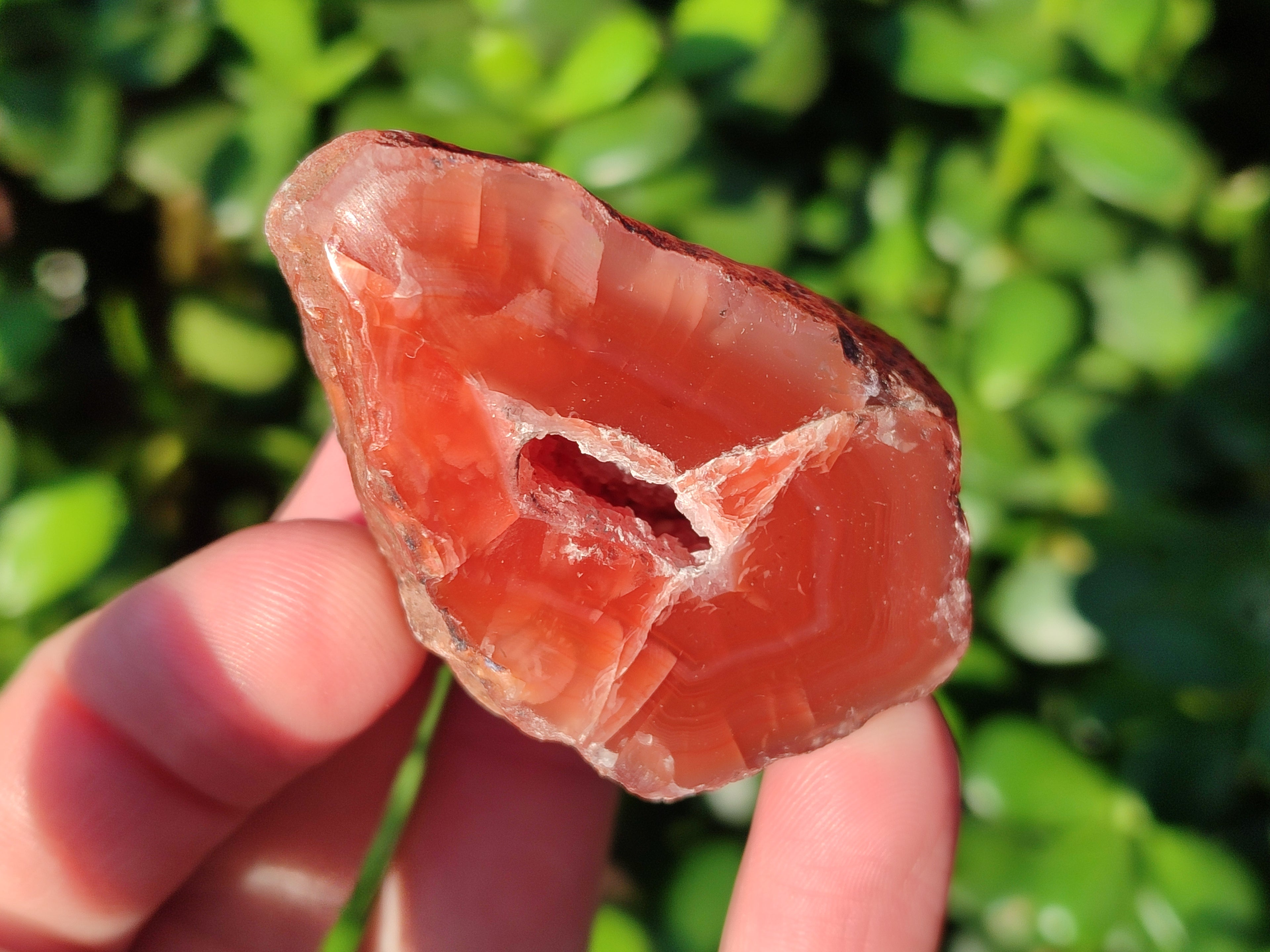 Polished On One Side Red Sashe River Agate Nodules x 20 From Zimbabwe - Toprock Gemstones and Minerals 
