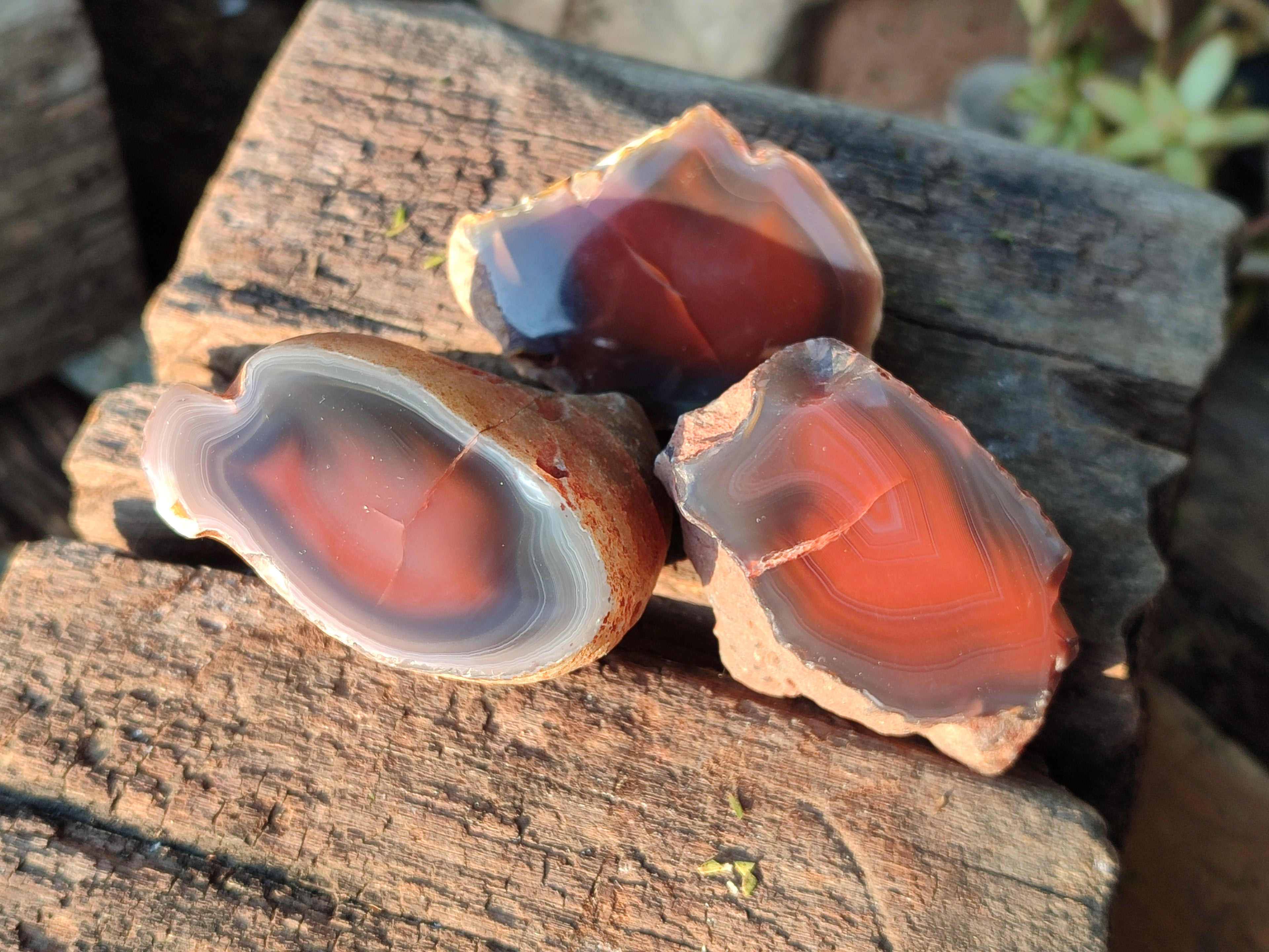 Polished On One Side Red Sashe River Agate Nodules x 20 From Zimbabwe - Toprock Gemstones and Minerals 