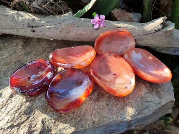 Polished Carnelian Agate Bowls x 6 From Madagascar