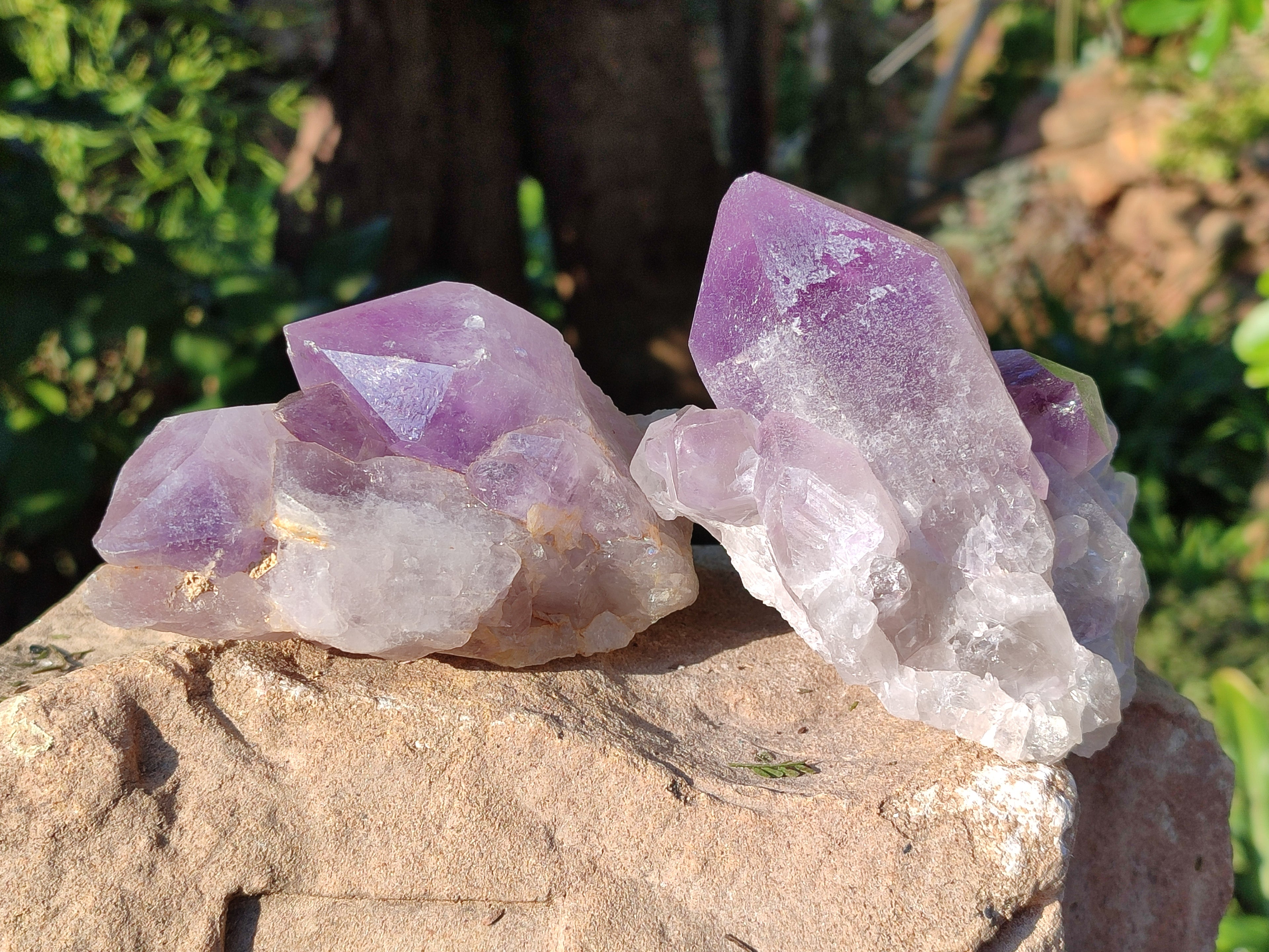 Natural Jacaranda Amethyst Quartz Cluster x 3 From Mumbwa, Zambia - Toprock Gemstones and Minerals 