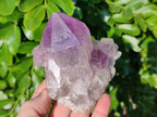 Natural Jacaranda Amethyst Quartz Cluster x 3 From Mumbwa, Zambia - Toprock Gemstones and Minerals 