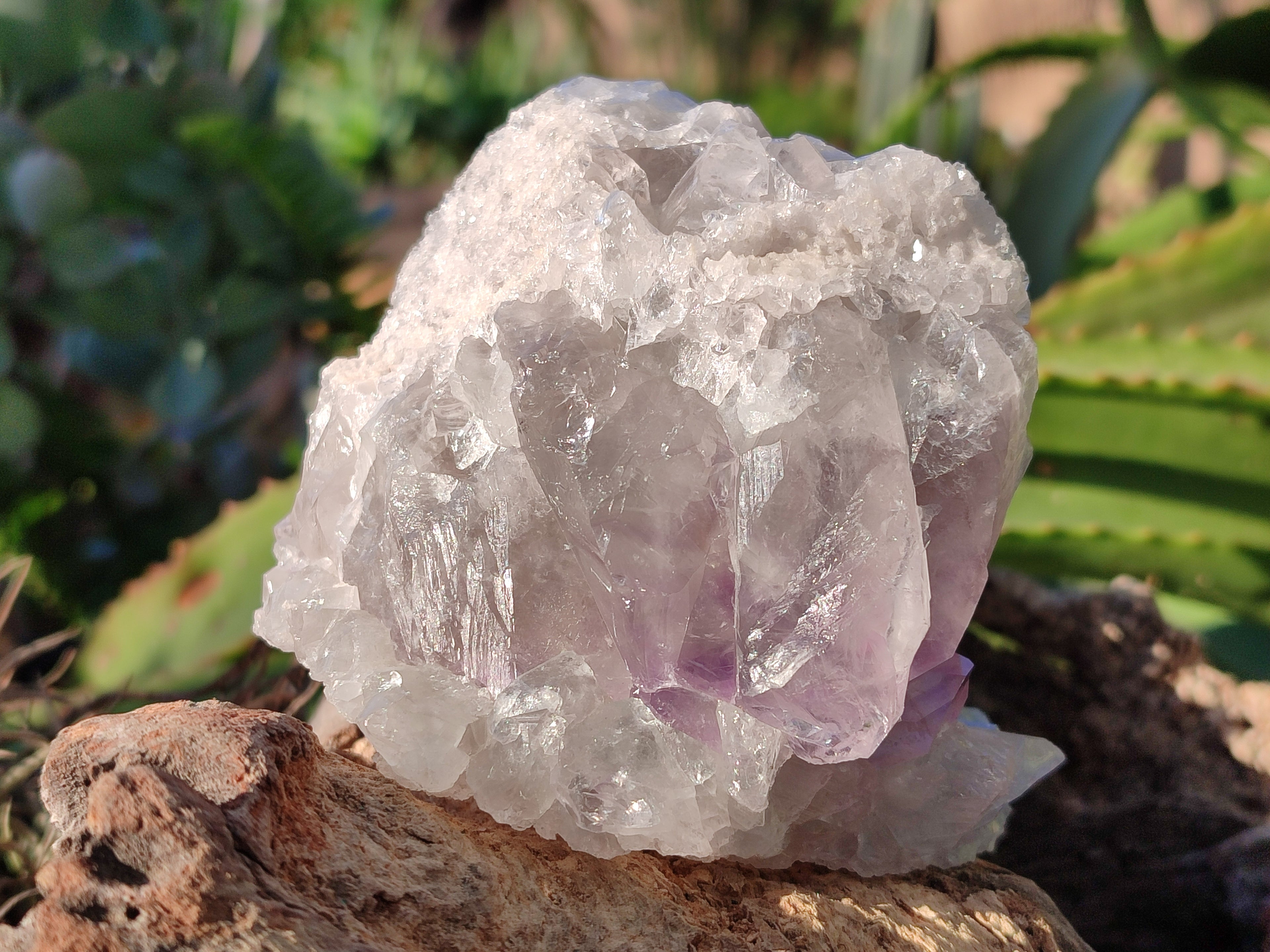 Natural Jacaranda Amethyst Quartz Cluster x 3 From Mumbwa, Zambia - Toprock Gemstones and Minerals 