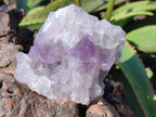 Natural Jacaranda Amethyst Quartz Cluster x 3 From Mumbwa, Zambia - Toprock Gemstones and Minerals 