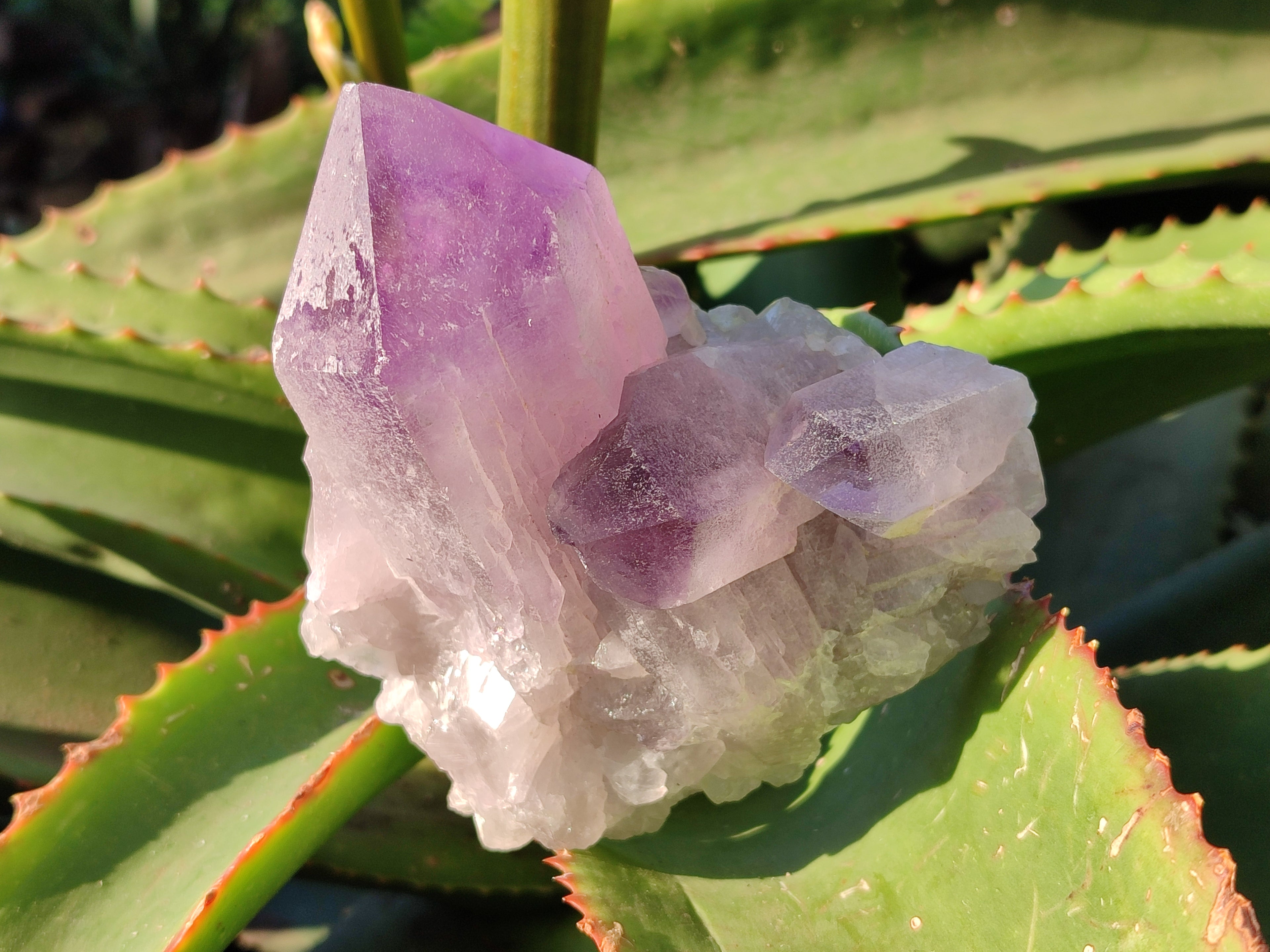 Natural Jacaranda Amethyst Quartz Cluster x 3 From Mumbwa, Zambia - Toprock Gemstones and Minerals 