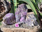 Natural Metallic Purpurite Cobbed Specimens x 3 From Erongo, Namibia - Toprock Gemstones and Minerals 