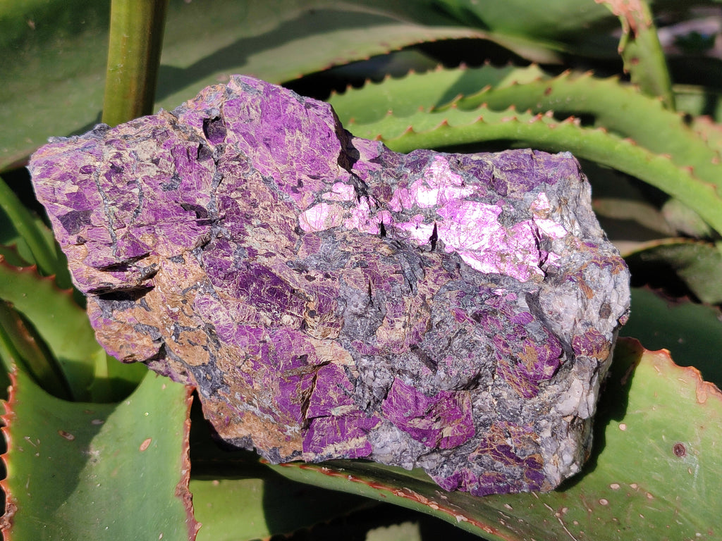 Natural Metallic Purpurite Cobbed Specimens x 3 From Erongo, Namibia - Toprock Gemstones and Minerals 