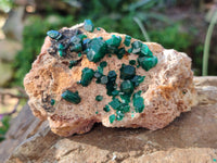 Natural Dioptase On Dolomite Specimens x 3 From Likasi, Congo