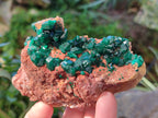 Natural Dioptase On Dolomite Specimens x 3 From Likasi, Congo - Toprock Gemstones and Minerals 