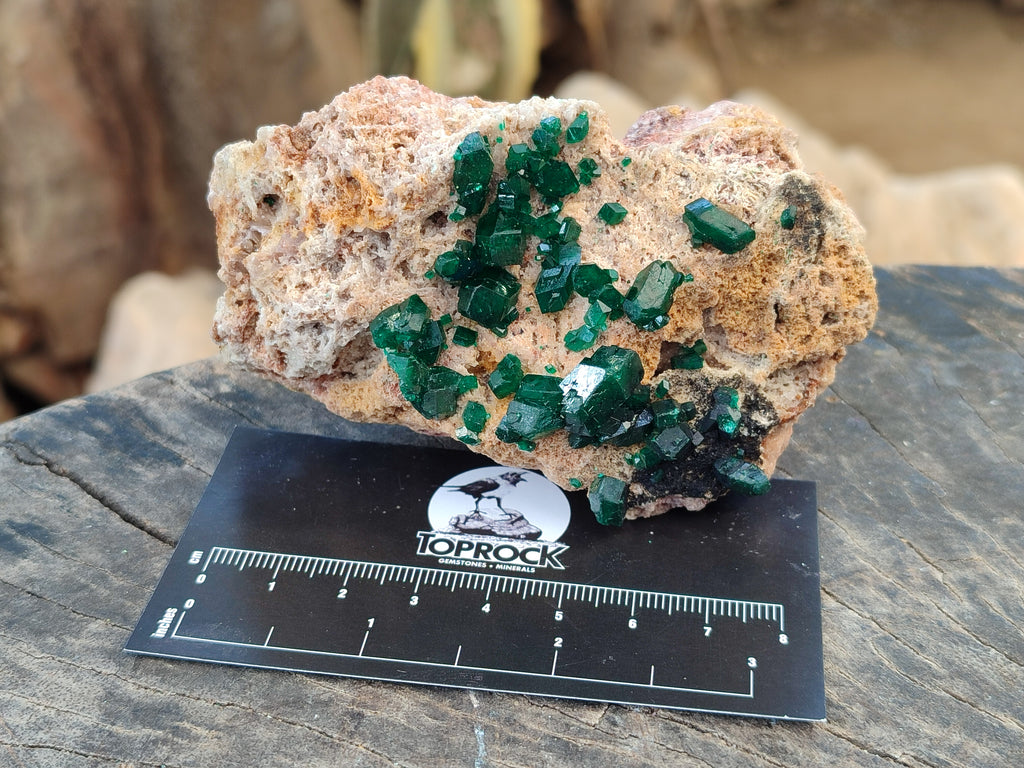 Natural Dioptase On Dolomite Specimens x 3 From Likasi, Congo - Toprock Gemstones and Minerals 