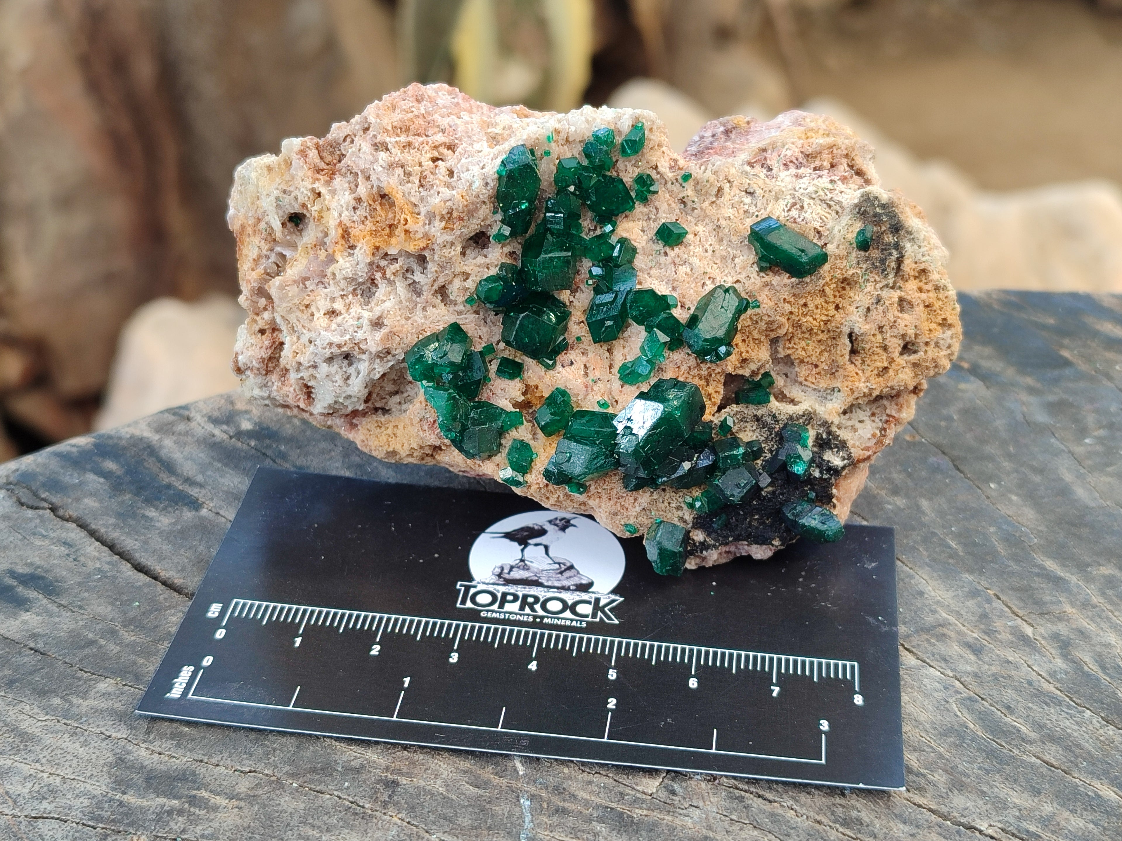 Natural Dioptase On Dolomite Specimens x 3 From Likasi, Congo - Toprock Gemstones and Minerals 