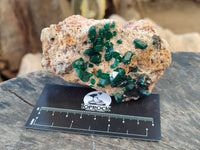 Natural Dioptase On Dolomite Specimens x 3 From Likasi, Congo