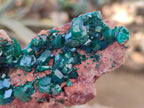 Natural Dioptase On Dolomite Specimens x 3 From Likasi, Congo - Toprock Gemstones and Minerals 