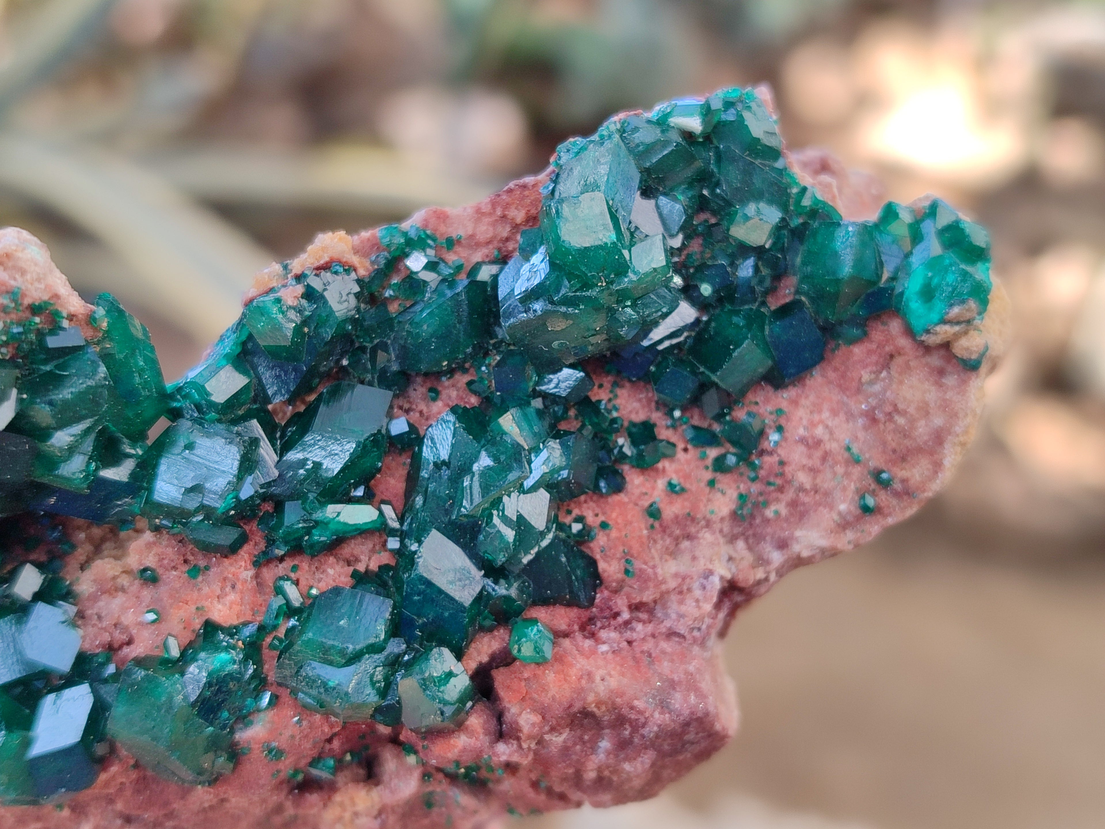 Natural Dioptase On Dolomite Specimens x 3 From Likasi, Congo - Toprock Gemstones and Minerals 