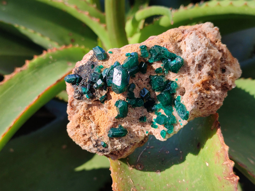Natural Dioptase On Dolomite Specimens x 3 From Likasi, Congo - Toprock Gemstones and Minerals 