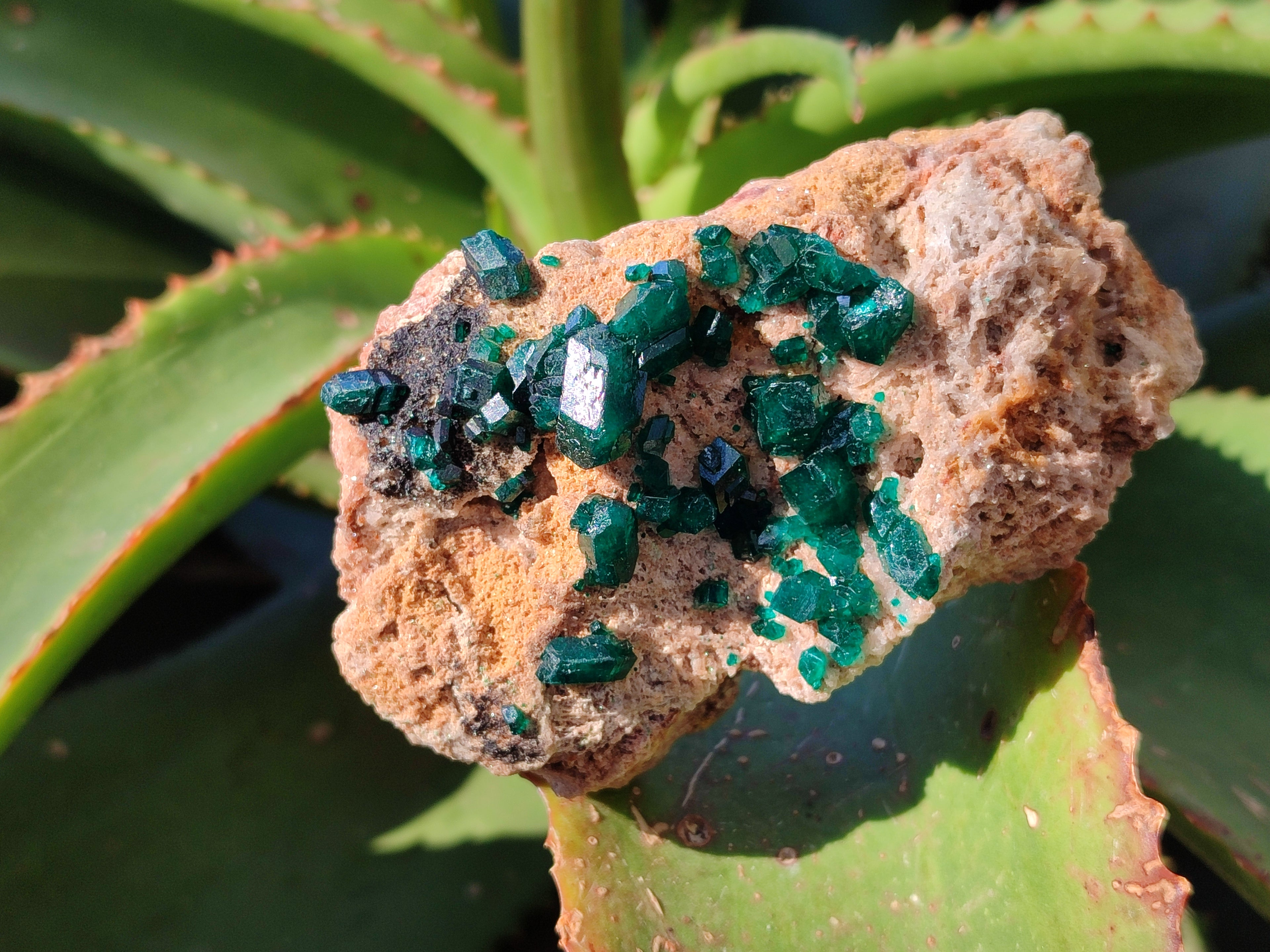 Natural Dioptase On Dolomite Specimens x 3 From Likasi, Congo - Toprock Gemstones and Minerals 