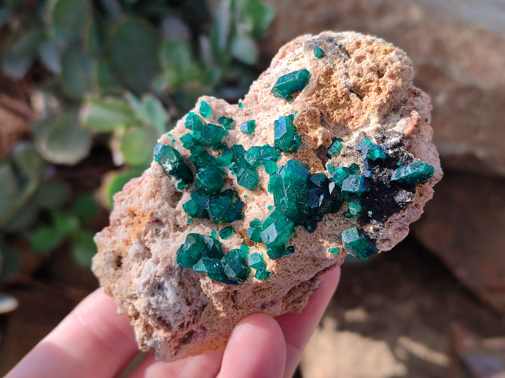 Natural Dioptase On Dolomite Specimens x 3 From Likasi, Congo - Toprock Gemstones and Minerals 