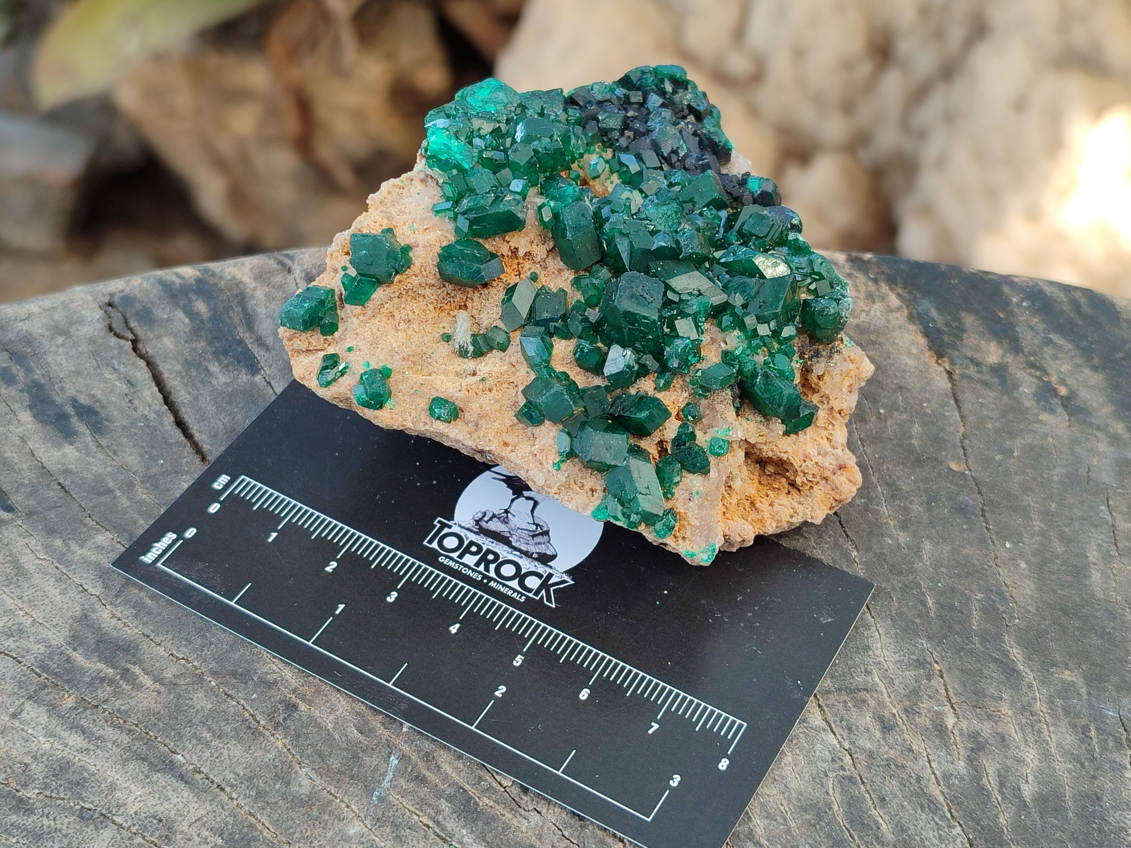 Natural Dioptase On Dolomite Specimens x 3 From Likasi, Congo - Toprock Gemstones and Minerals 