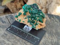 Natural Dioptase On Dolomite Specimens x 3 From Likasi, Congo