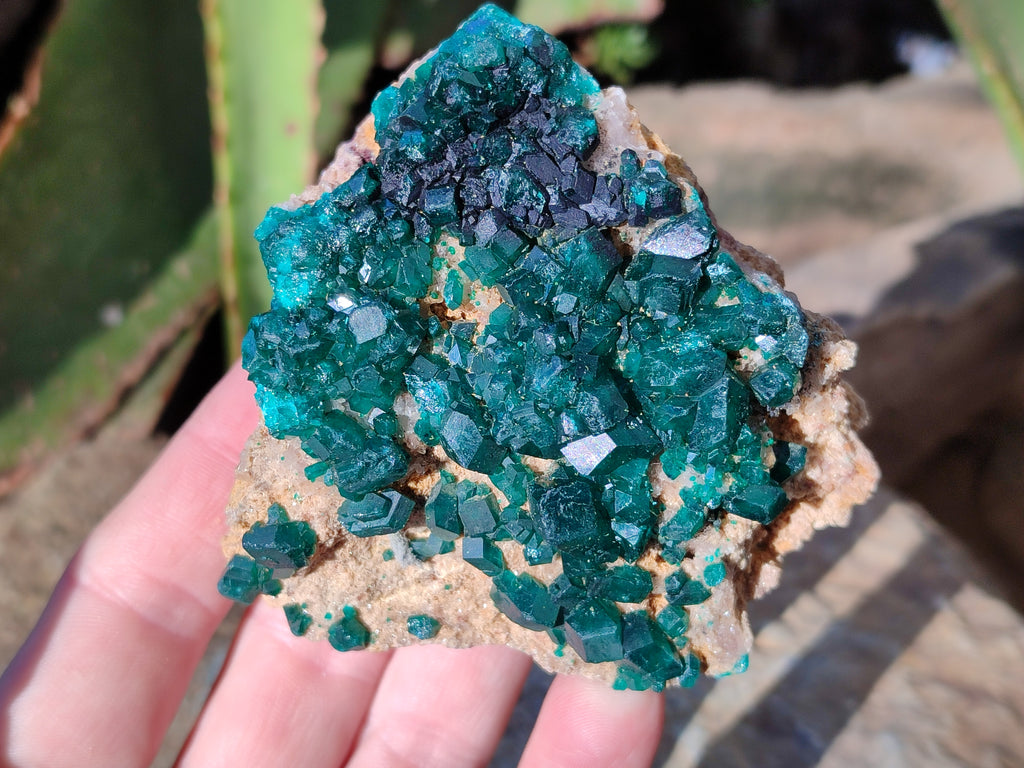 Natural Dioptase On Dolomite Specimens x 3 From Likasi, Congo - Toprock Gemstones and Minerals 