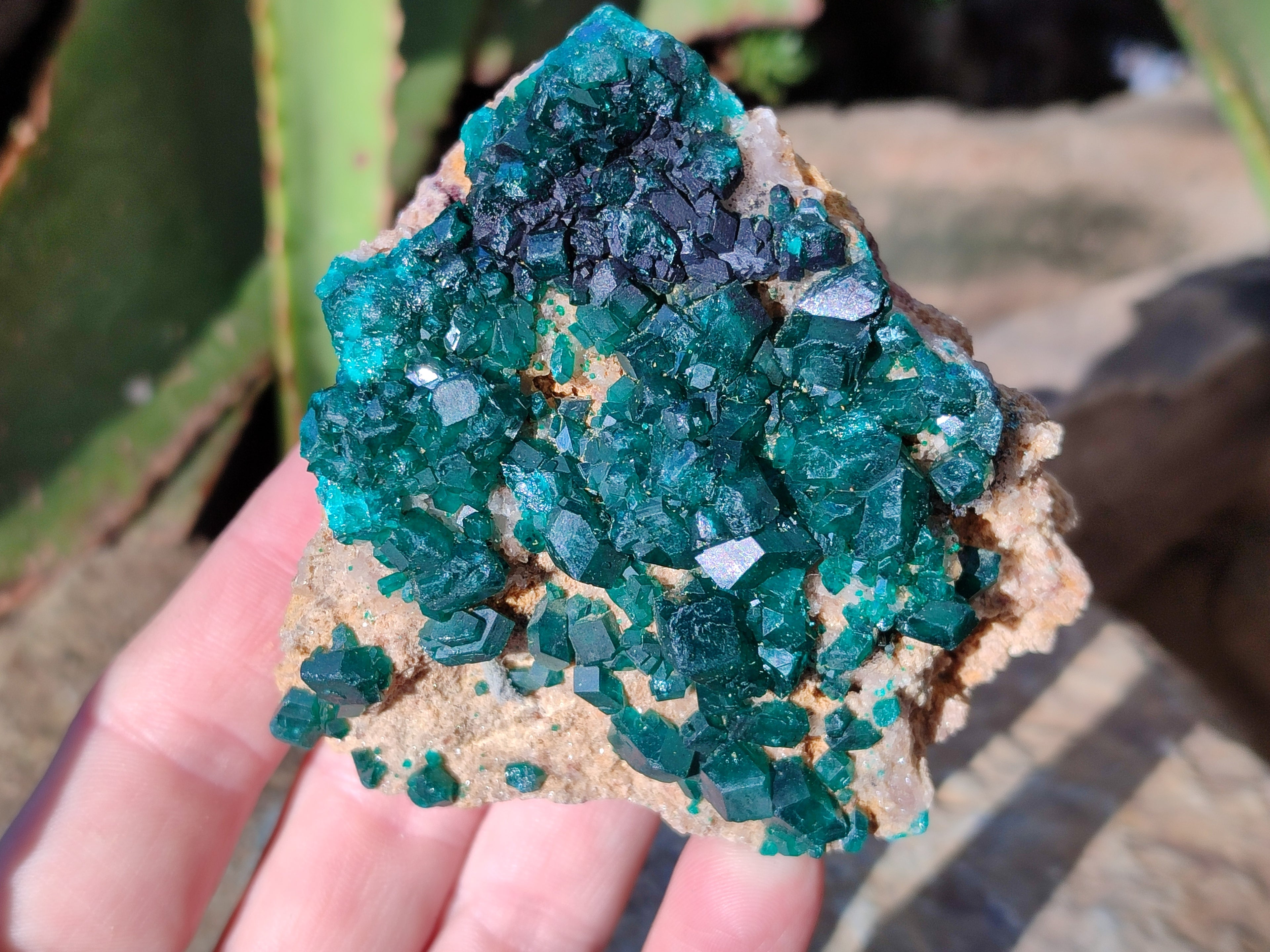 Natural Dioptase On Dolomite Specimens x 3 From Likasi, Congo - Toprock Gemstones and Minerals 