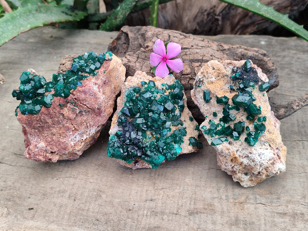 Natural Dioptase On Dolomite Specimens x 3 From Likasi, Congo - Toprock Gemstones and Minerals 