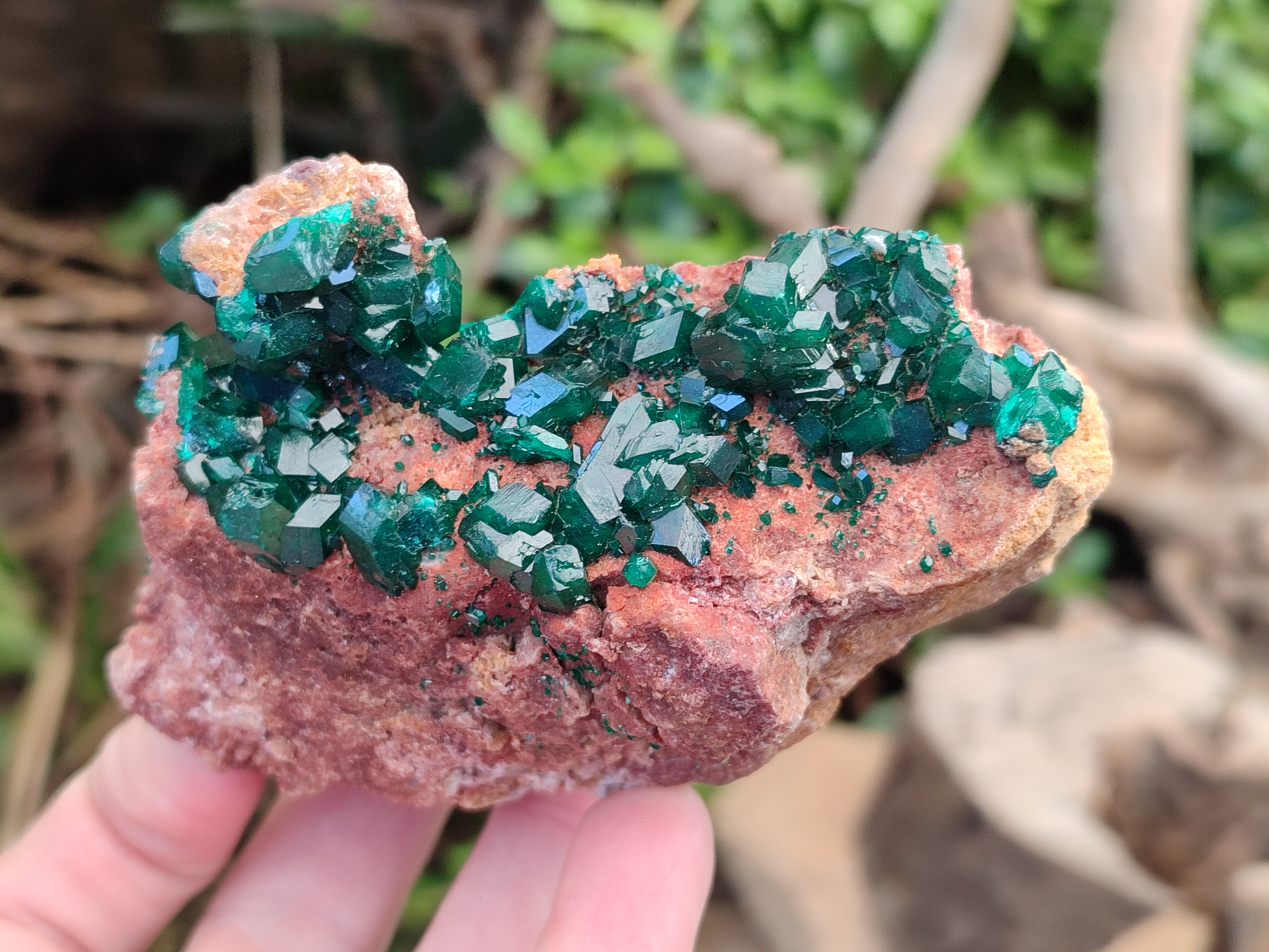 Natural Dioptase On Dolomite Specimens x 3 From Likasi, Congo - Toprock Gemstones and Minerals 
