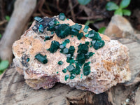 Natural Dioptase On Dolomite Specimens x 3 From Likasi, Congo